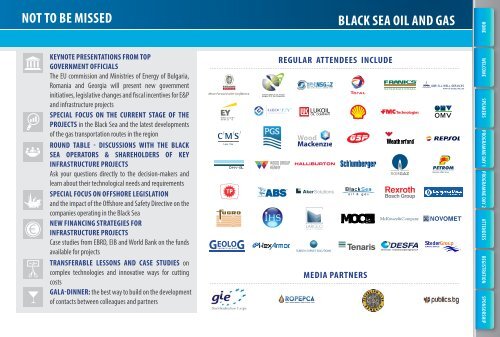 BLACK SEA OIL AND GAS