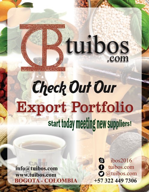 Export Portfolio