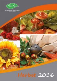 Katalog Herbst 2016 | Flora Fee