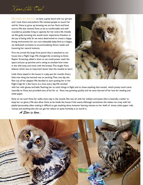 owl_eye_issue4_online