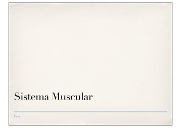 sistema muscular1