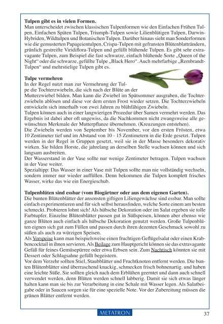 Andrea Janko / Metatron Verlag Mondkalender : Der Sonnen-, Mond- und Sternenkalender 2017 - Leseprobe Jänner 2017