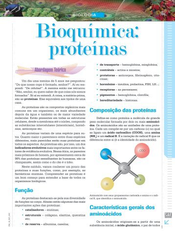proteinas e acidos nucleicos