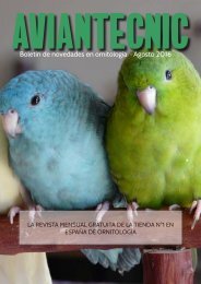 Aviantecnic.es - Revista de ornitología