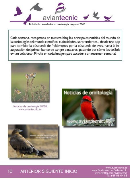 Aviantecnic.es - Revista de ornitología