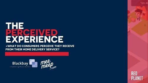 THE DELIVERY EXPERIENCE