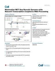 11 Mammalian NET-Seq Reveals Genome-wide
Nascent Transcription Coupled to RNA Processing>