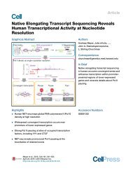 10 Native Elongating Transcript Sequencing
Reveals Human Transcriptional
Activity at Nucleotide Resolution