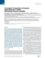 14 Convergent Transcription at Intragenic
Super-Enhancers Targets
AID-Initiated Genomic Instability