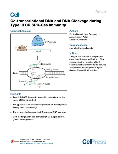 12 Co-transcriptional DNA and RNA Cleavage during
Type III CRISPR-Cas Immunity