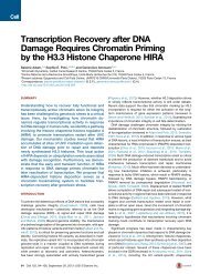 13 Transcription Recovery after DNA
Damage Requires Chromatin Priming
by the H3.3 Histone Chaperone HIRA