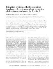 Initiation of stem cell differentiation
involves cell cycle-dependent regulation
of developmental genes by Cyclin D