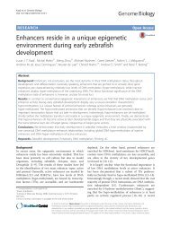 Enhancers reside in a unique epigenetic
environment during early zebrafish
development