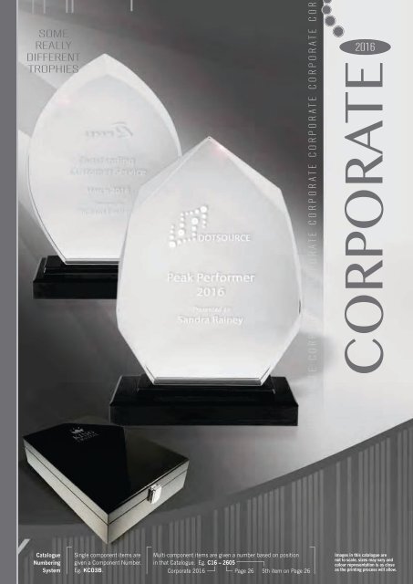 Some Really Different Corporate Trophies 2016