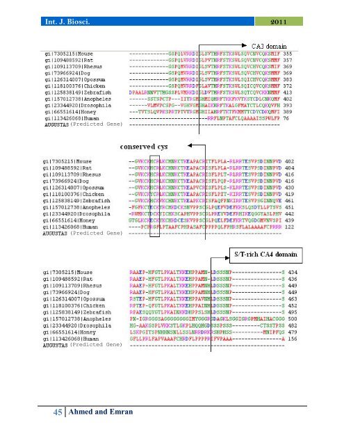 Computational genomic study of LTP pathway in the context of Raf/Ksr homologue in human and chimpanzee