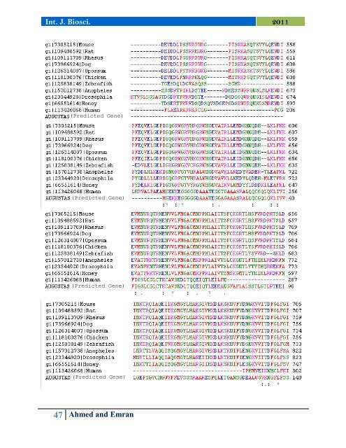 Computational genomic study of LTP pathway in the context of Raf/Ksr homologue in human and chimpanzee