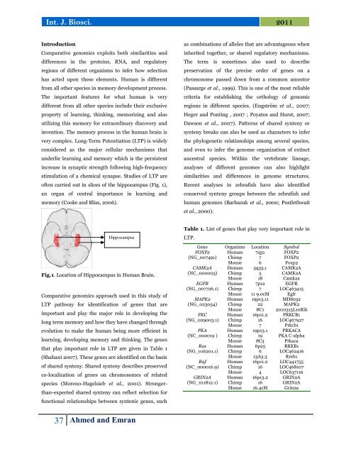 Computational genomic study of LTP pathway in the context of Raf/Ksr homologue in human and chimpanzee