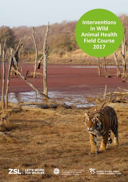 Interventions in Wild Animal Health