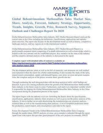 Behentrimonium Methosulfate Sales Market Size, Industry Analysis Report To 2020