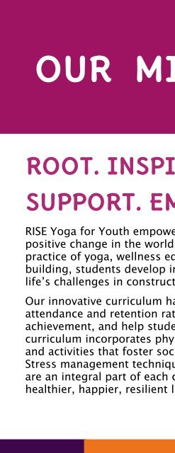 RISE 2015 - 2016 Program report FINAL