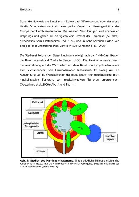 Evaluation perioperativer Parameter sowie der Lebensqualität nach ...