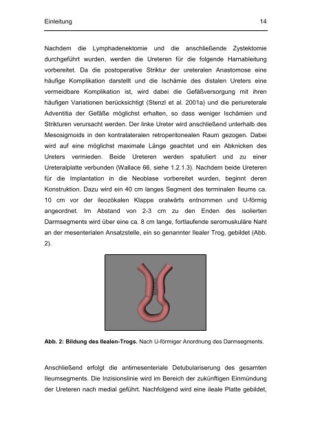 Evaluation perioperativer Parameter sowie der Lebensqualität nach ...