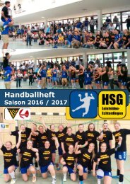HSG-LE Saison 2016/2017
