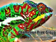 Commercial & Trade Printing Services - Chameleon Print Group