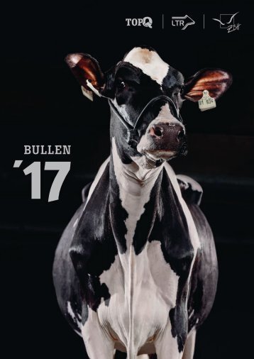 Bullenkatalog_LTR_2017