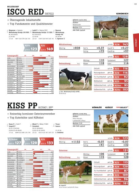 Bullenkatalog_LTR_2017