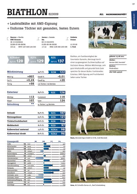 Bullenkatalog_LTR_2017