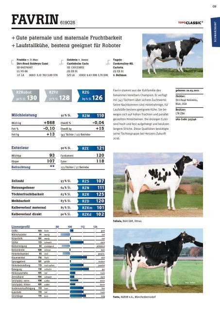 Bullenkatalog_LTR_2017