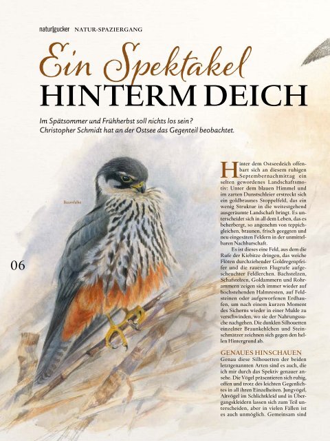 naturgucker Nr.26