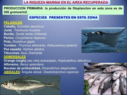 CONIPESCA 2014 Diapositivas Muñante Pesca artesanal Tacna