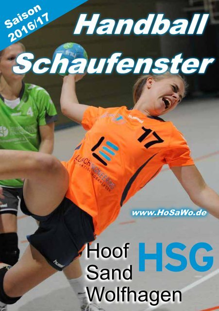Handball Schaufenster 2016/17