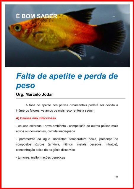 Revista Meus Peixes 04