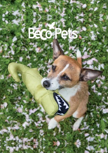 BECO Pets Folder