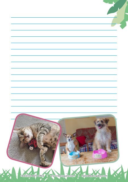 BECO Pets Info Folder