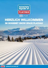 BUSGRUPPEN_FLACHAU2017-1300Stk