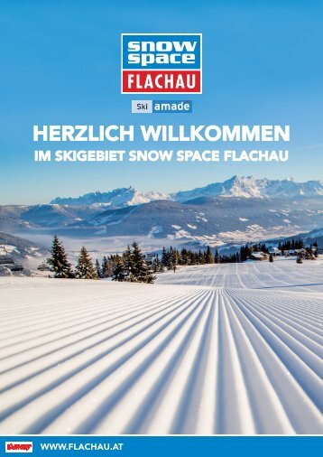 BUSGRUPPEN_FLACHAU2017-1300Stk