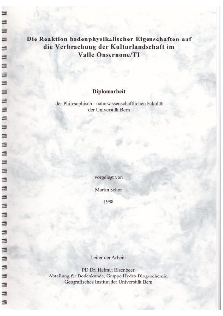 Diplomarbeit - Collo 1998