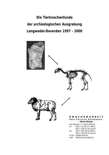 Die Tierknochenfunde der archäologischen ... - Knochenarbeit