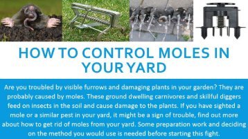 How To Control Moles in Your Yard