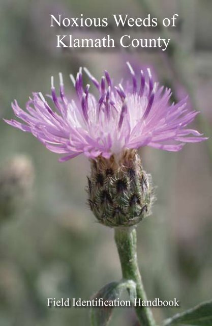 Noxious Weeds of Klamath County - Rabe Consulting