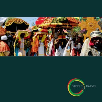 Tadele Travel Website Brochure