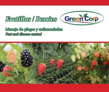 folleto frutillas-Actualizado.compressed