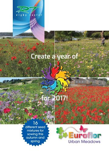 Create a year of colour for 2017