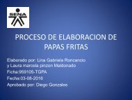 PROCESO DE ELABORACION DE PAPAS FRITAS M YL