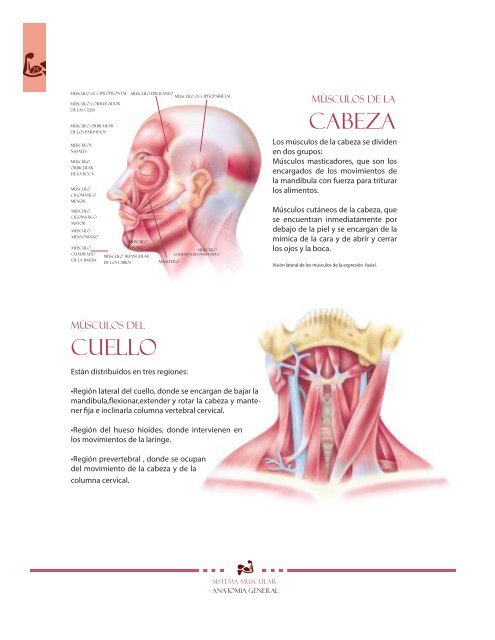 libro de Anatomia 