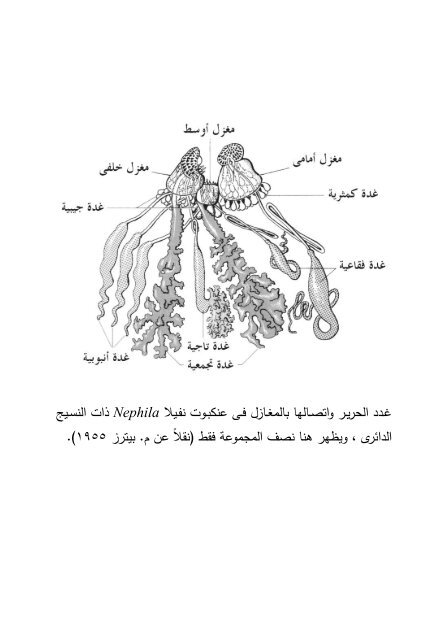 العناكب 2016 - هشام الحناوى - نسخة مصححة